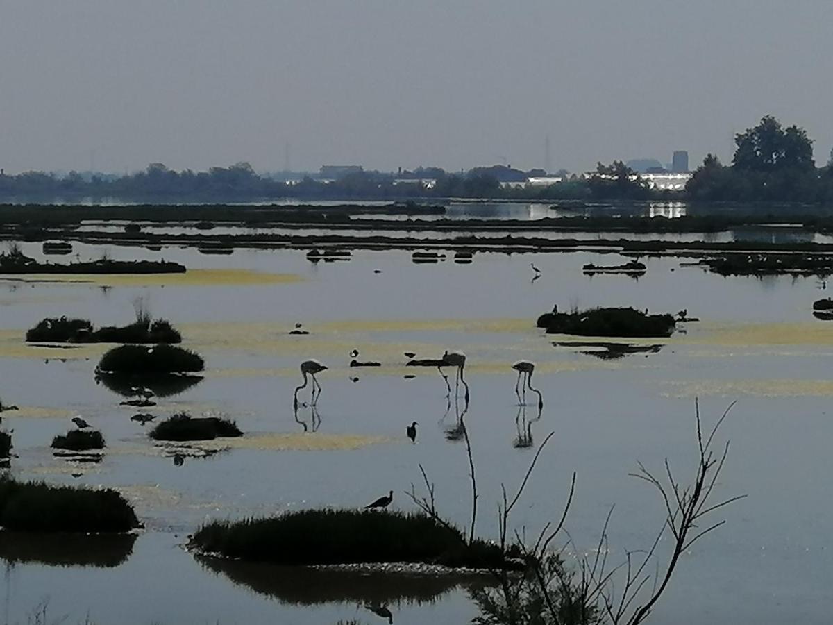 Orizzonte Marino Blu-Vacanza Ricca Di Colori Cavallino-Treporti Exteriör bild